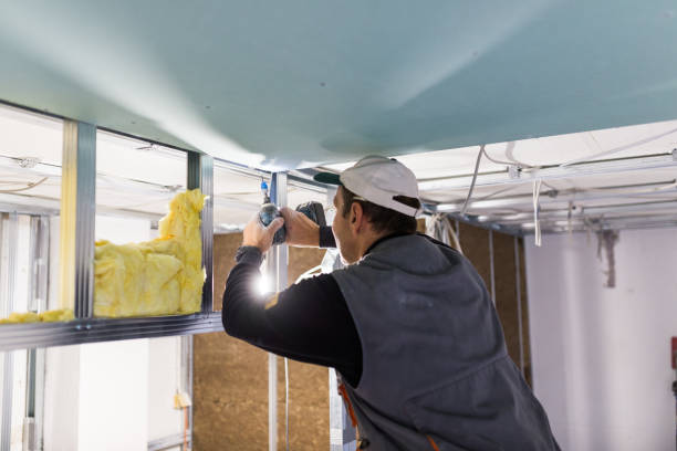 Best Affordable Insulation Services  in North Augusta, SC