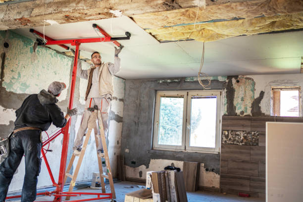 Best Attic Insulation Installation  in North Augusta, SC