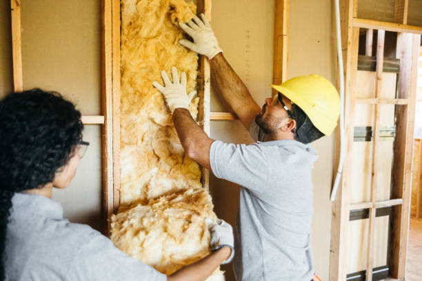 Attic Insulation Near Me in North Augusta, SC