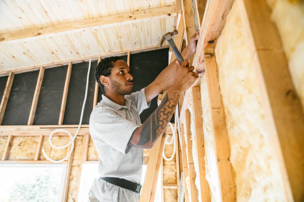 Best Home Insulation Services  in North Augusta, SC