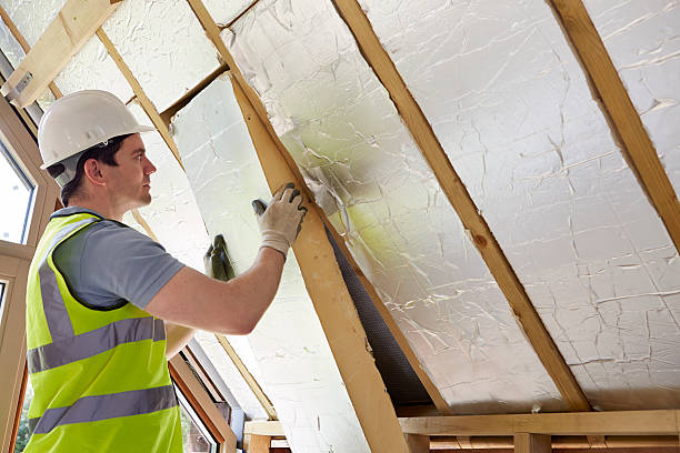 Best Insulation Contractor Near Me  in North Augusta, SC